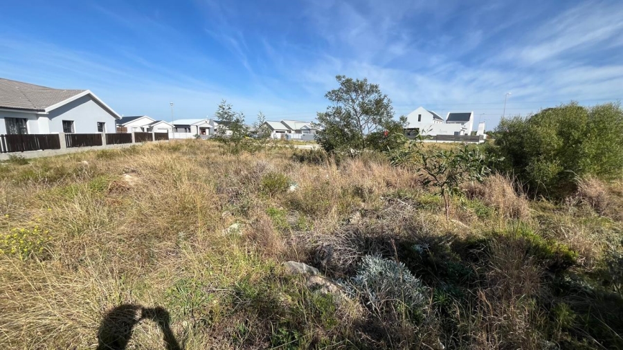  Bedroom Property for Sale in Fountains Estate Eastern Cape